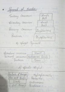 Class 10th Biology Notes📖
