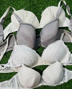 38 D/Dd Size