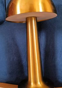 Chargeable Mushroom Lamp