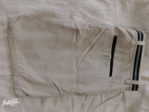 Men Shorts