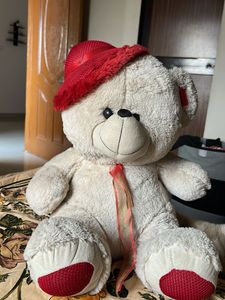 Cute Teddy Bear with Hat