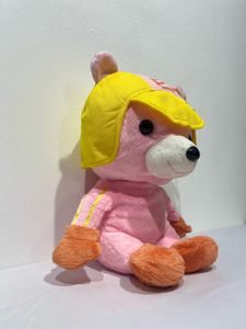 Cute Pink Bear Plush Toy