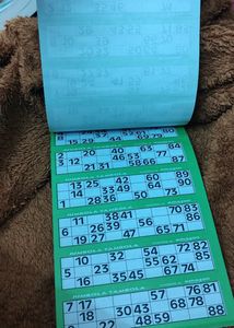 Tambola 600 Tickets