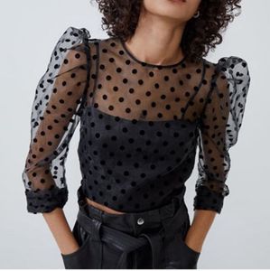 Zara Polka Dot Organza Sheer Top With inner