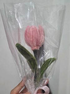Pipe Cleaner Tulip Flower Bouquet 💐