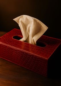 Redefined Elegance, One Tissue at a Time