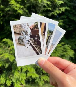 Polaroids!