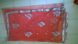 Coral Embellished Net Saree