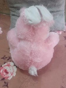 🧸 Teddy Bear
