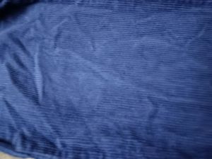 Cotrise Blue Pant
