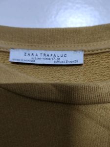 Zara Sweatshirt Dress