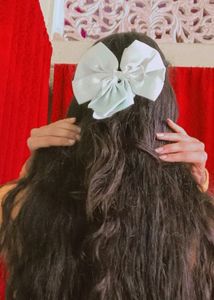 Hair Bow Clip