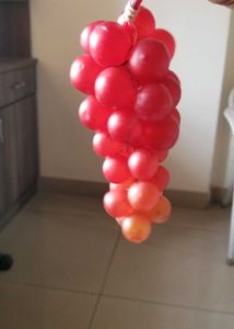 Red Grape Decor imported