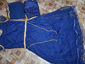 Royal Blue Embroidered Lehenga Choli