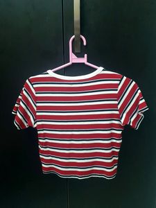 SASSAFRAS Crop Top