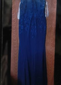 Elegant Navy Blue Ethnic Gown