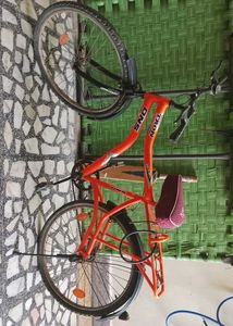 Orange Tron DNS Bicycle For Teenagers