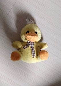 🐥 Teddy Bear Duck  🐥