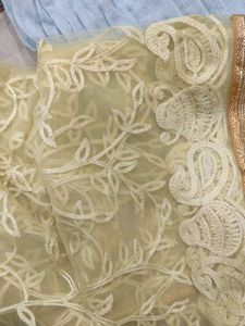 Elegant Dupatta Collection