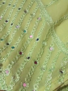 Light Green Embellished Saree