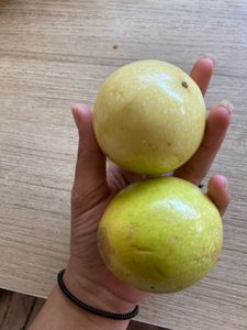 Exotic Passion Fruit Seeds