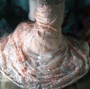 Pure Mirror and Sequence Worked Net Gown