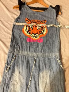 Beautiful Trendy Denim Dress