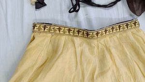 Elegant Lehenga Choli Set