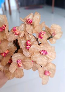 Ready Crepe Wax Flowers