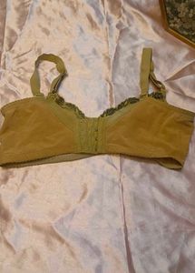 Elegant Embroidered Bra