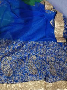 Beutiful Heavy Net Saree