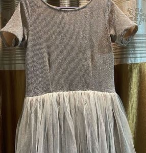 Party Wear Gown