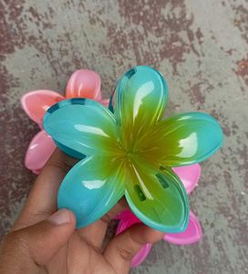 COMBO OF HAIR CLUTCHES 🖇️