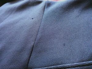 Navy Blue Jacket