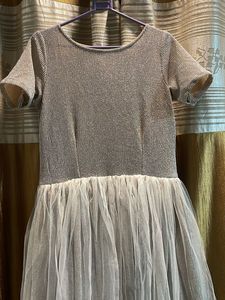 Party Wear Gown