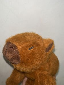 Capybara Plushie