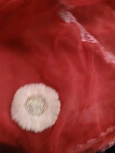 Red Net Dupatta with Floral Details