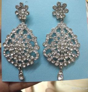Sparkling Silver Earrings