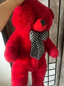 Large Teddy