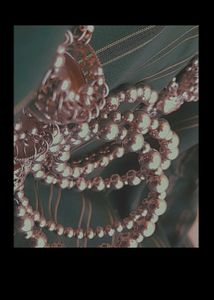 Silver Etnic Bracelet
