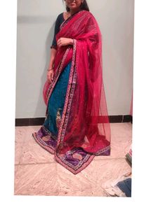 Grand Netted Saree