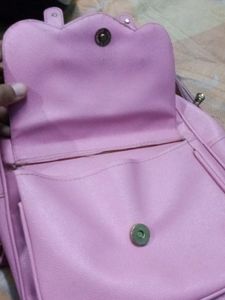 Salee!!! Pink Mini Bag