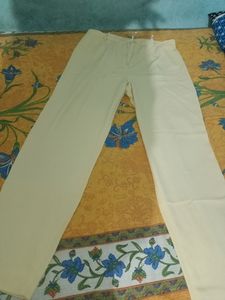 Formal Pant For Women