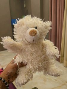 Cute White Teddy Bear