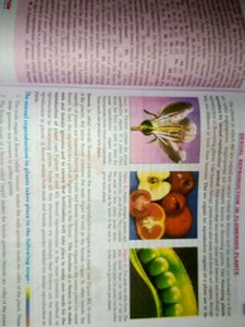 Lakhmir Singh Biology Textbook - 10th Grade