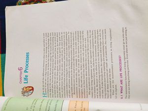 Class 10 Science Book