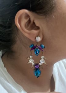 Bg’s Earrings