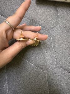 Peacock Jhumka Earrings