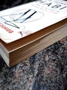 The Power of Habit, by Charles Duhigg