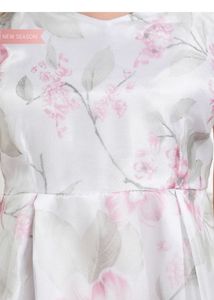 Organza Dress